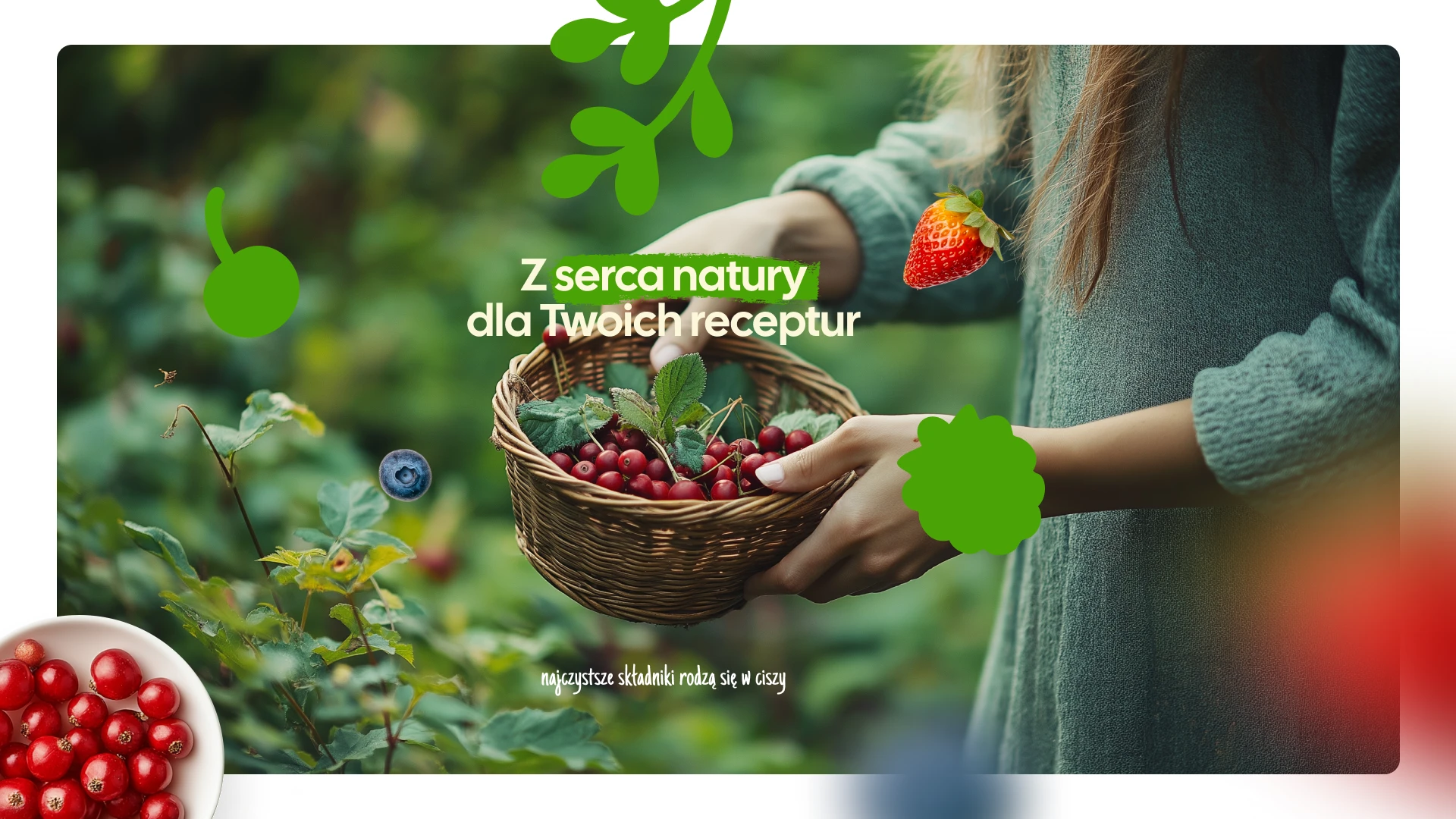 Frunutex_prezentacja5