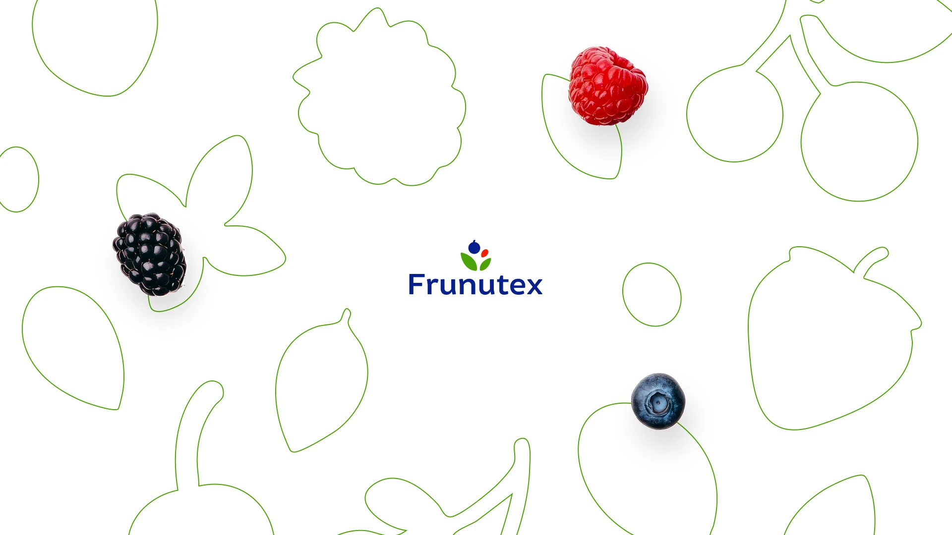 Frunutex_prezentacja6