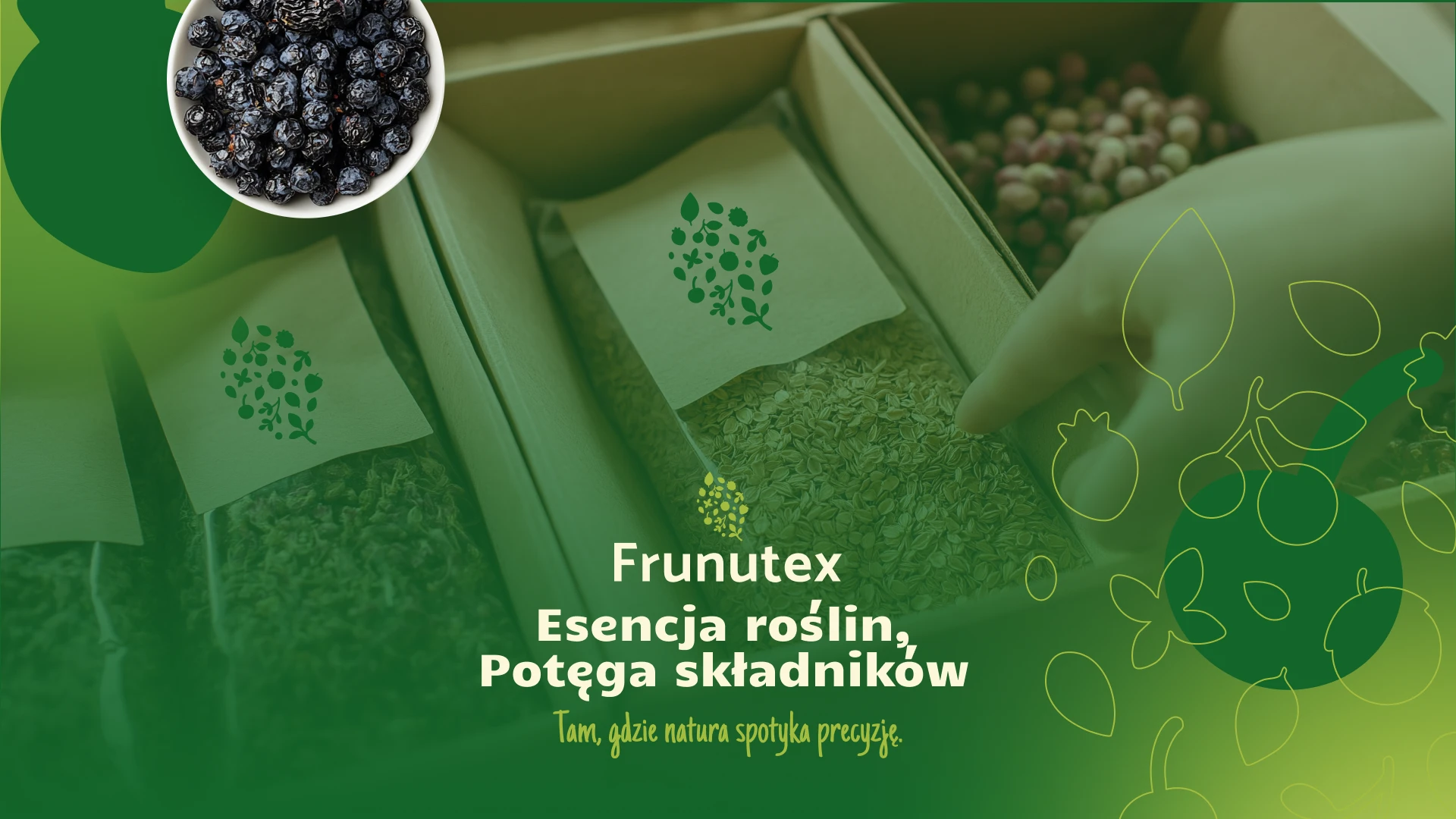 Frunutex_prezentacja - 6