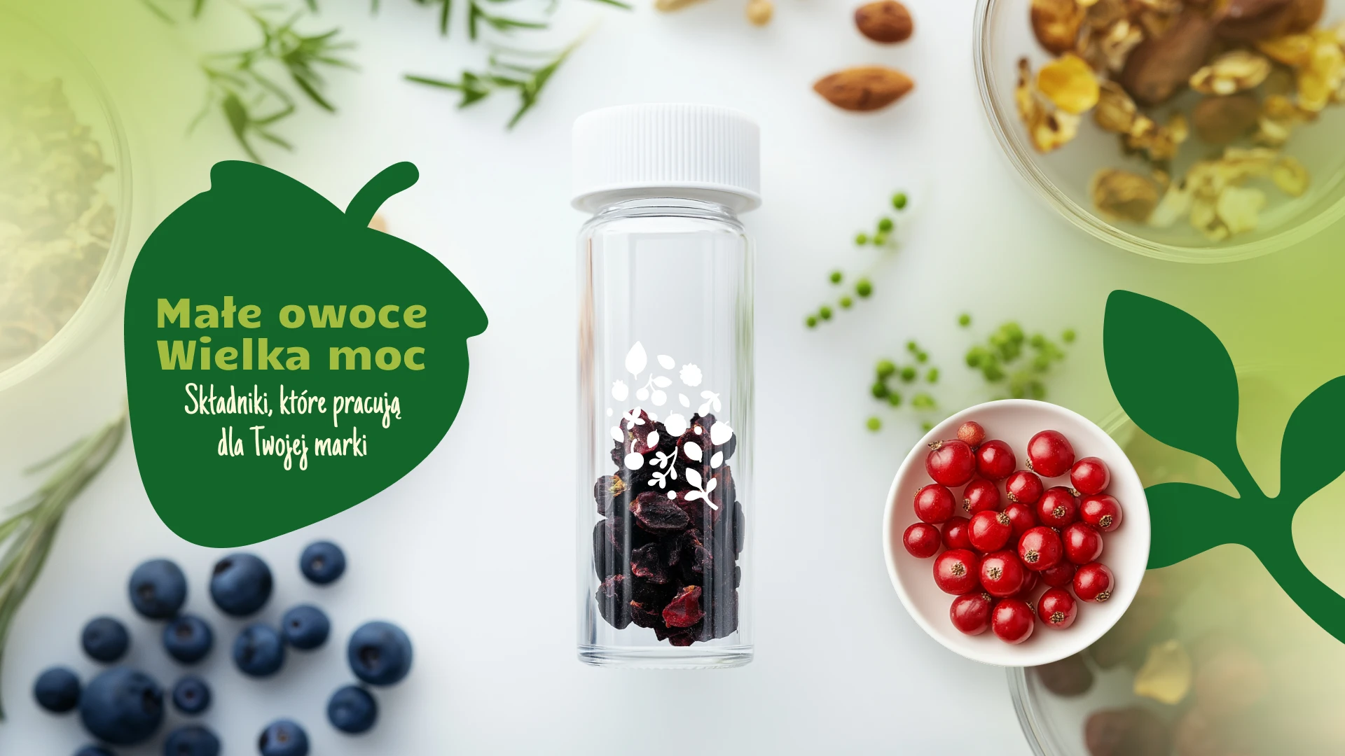 Frunutex_prezentacja - 5