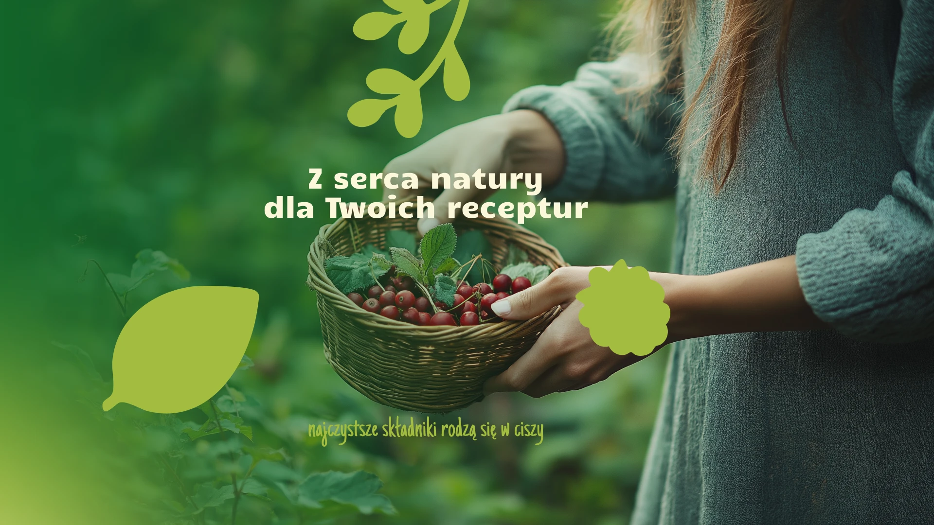 Frunutex_prezentacja - 8