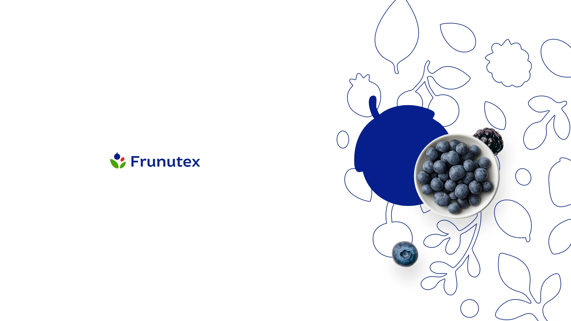 Frunutex_prezentacja1